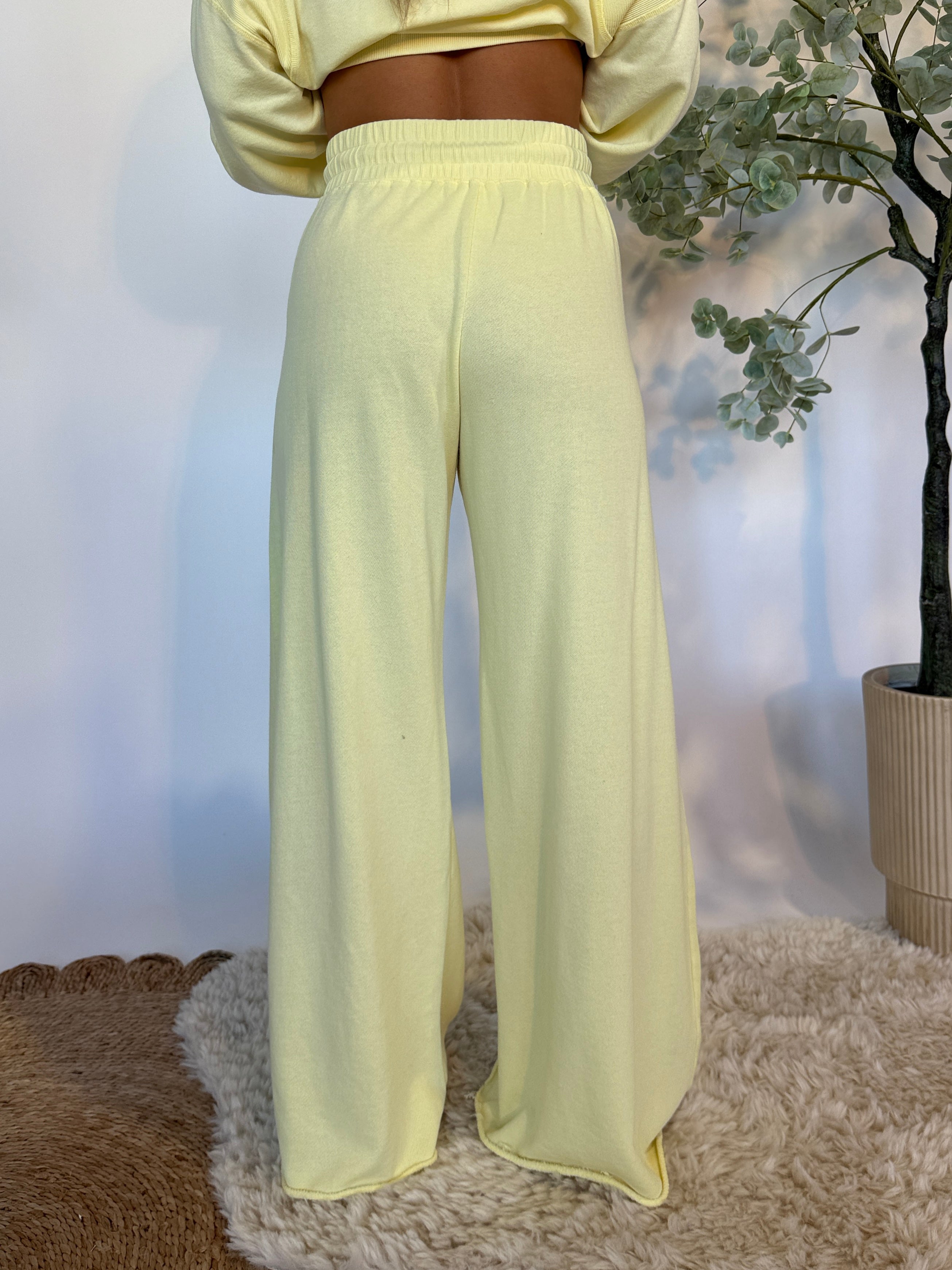Coffee Shop Mornings Sweatpants Lemonade