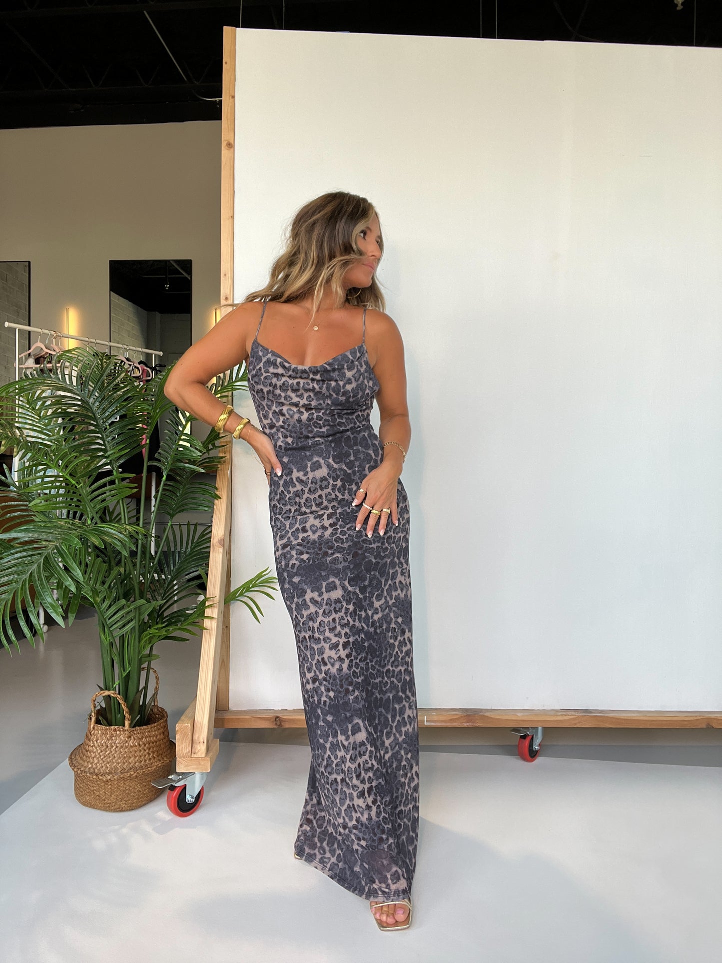 Sasha Mesh Maxi Dress Leopard
