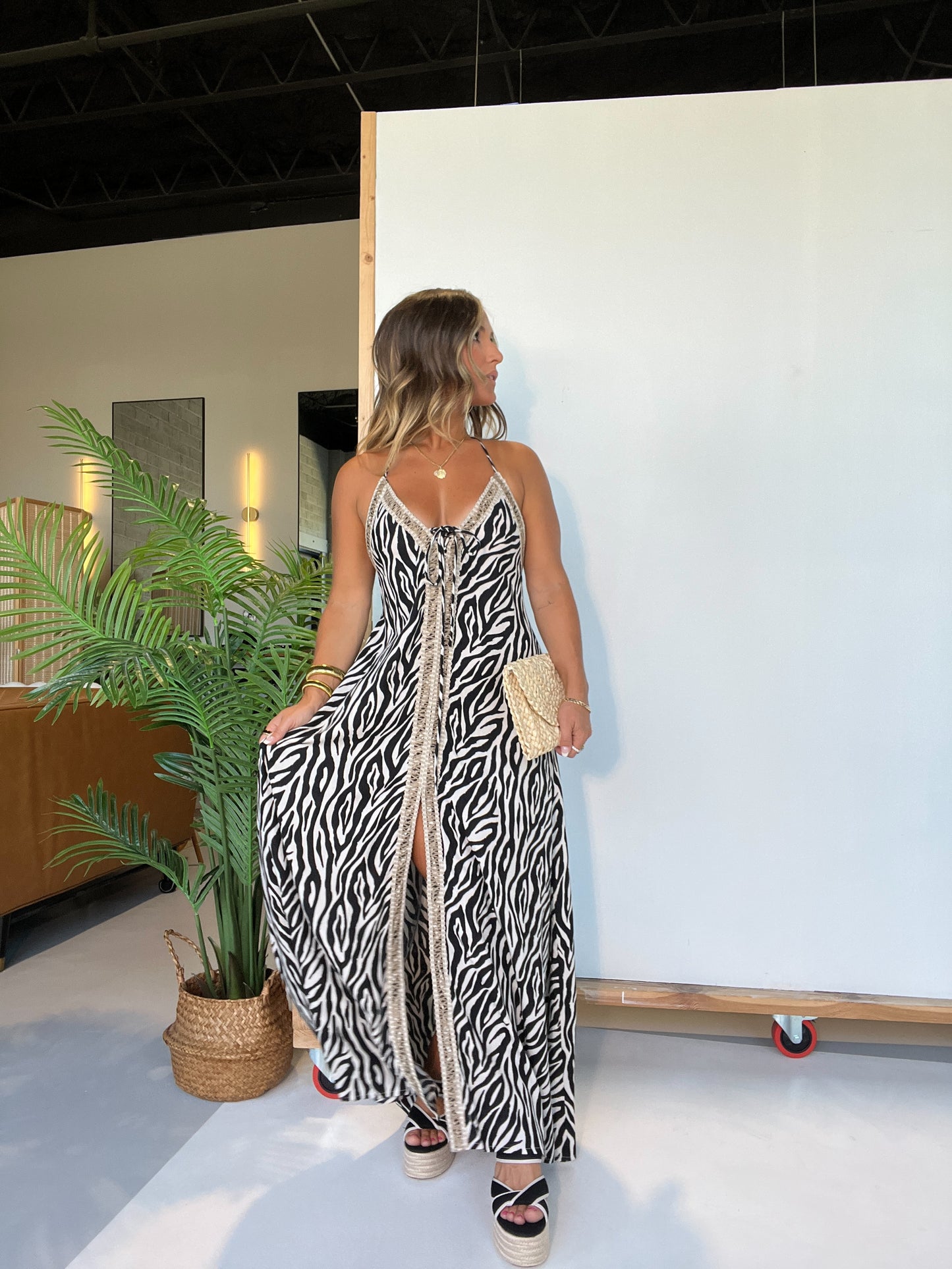 Wild Thoughts Maxi Dress Zebra Multi