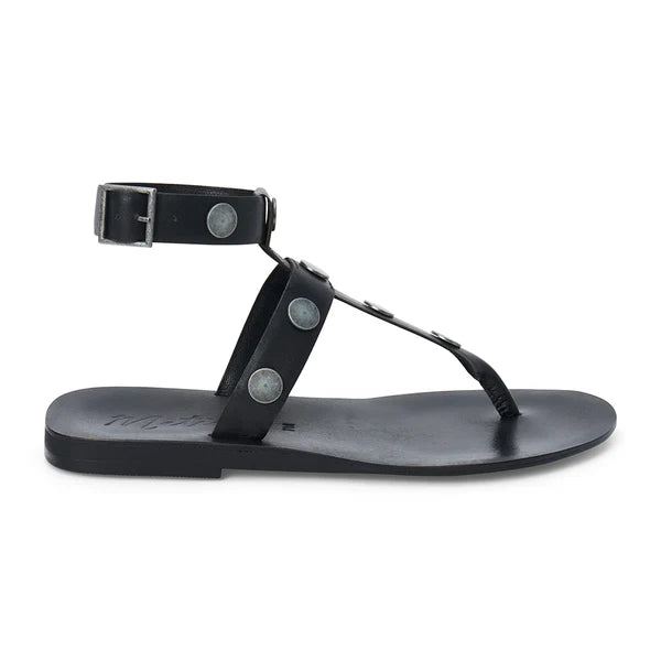 Alexis Studded Gladiator Sandals Black