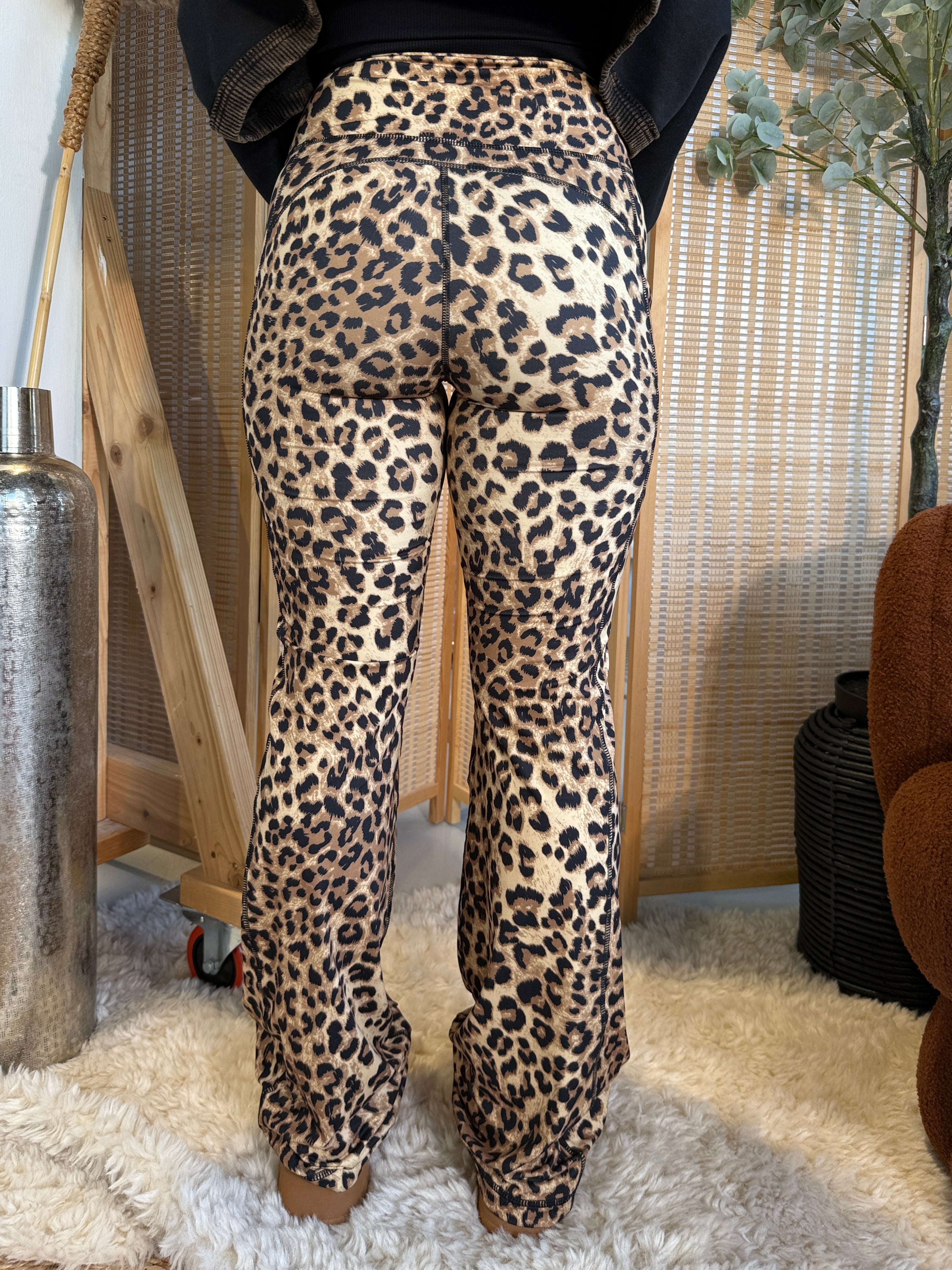 Chasing Your Tail Flares Leopard