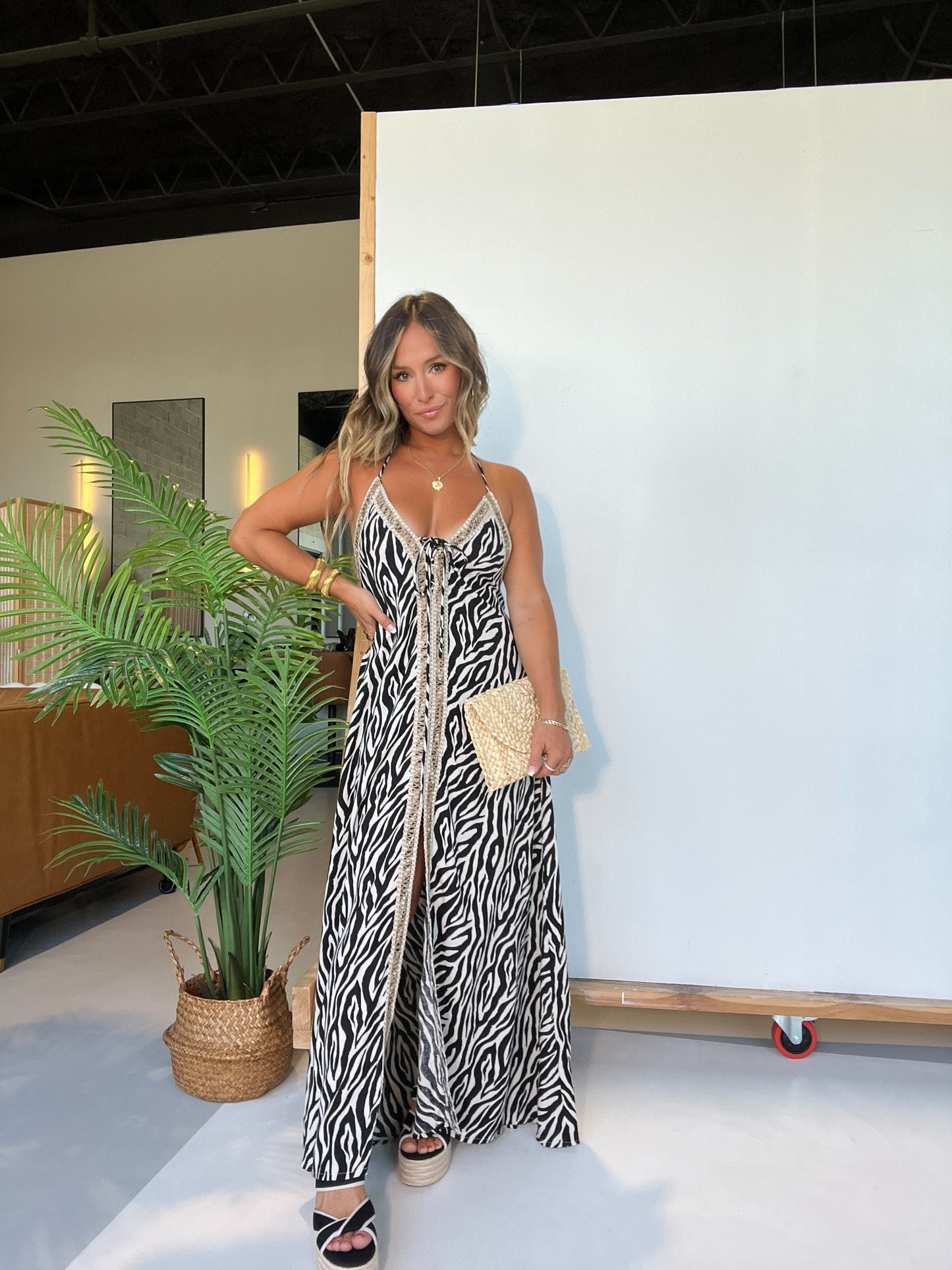 Wild Thoughts Maxi Dress Zebra Multi