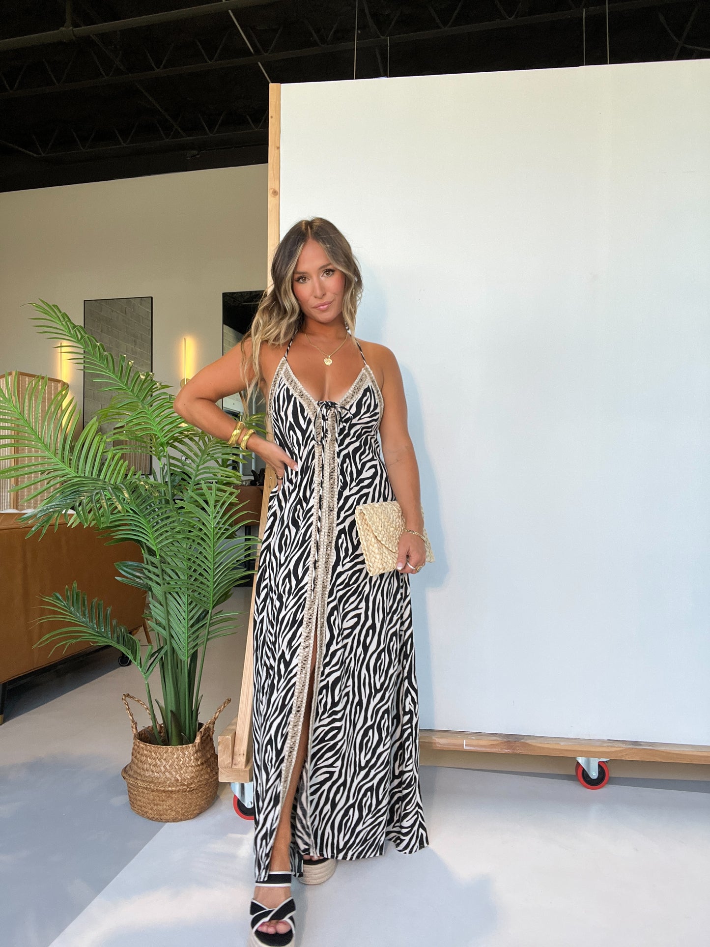 Wild Thoughts Maxi Dress Zebra Multi