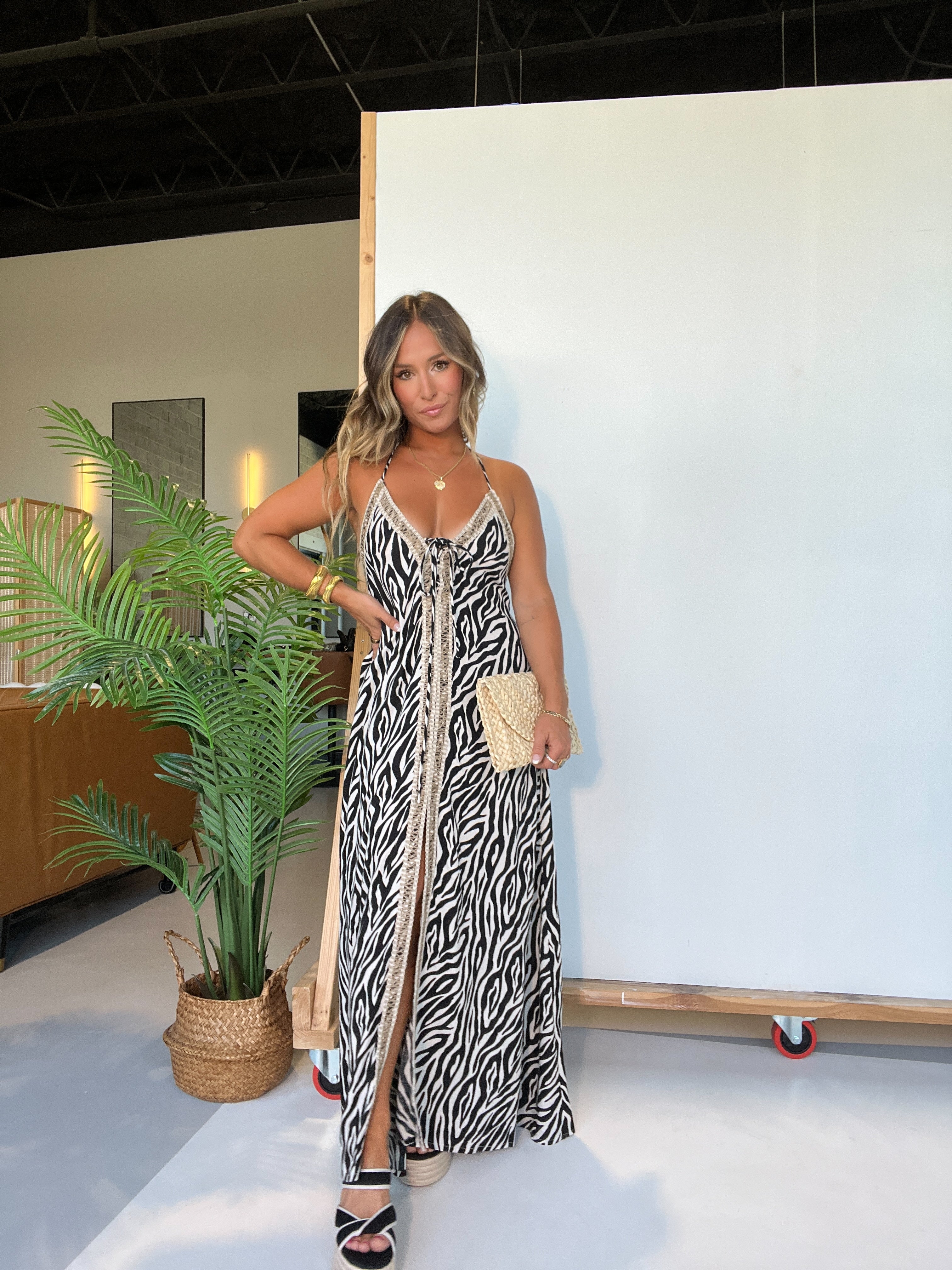 Wild Thoughts Maxi Dress Zebra Multi